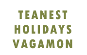 Teanest Holidays, Vagamon, Homestay & Resorts in Vagamon, Kerala